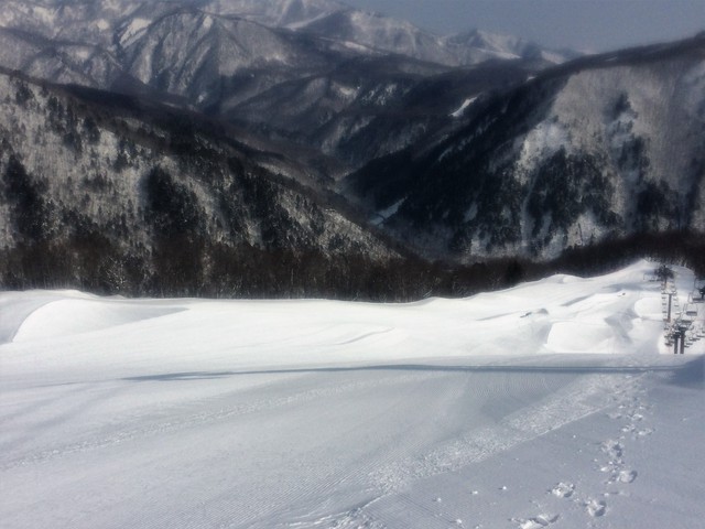 WEDGE SNOWSURF CAMP ＠HAKUBA